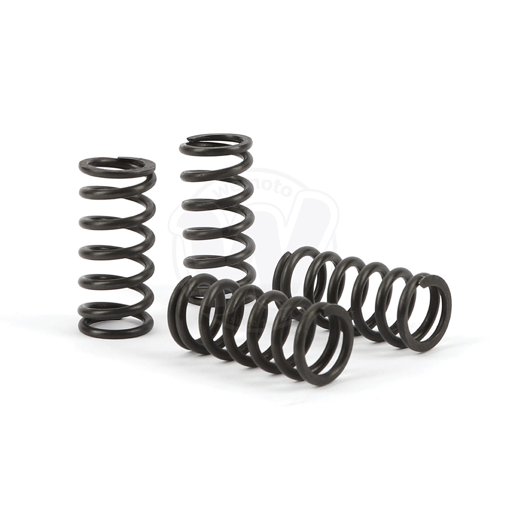 0CG4563_TRK Clutch Spring Kits 4.jpg